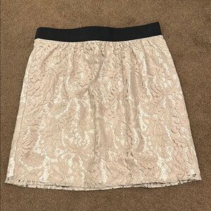LOFT Lace Skirt